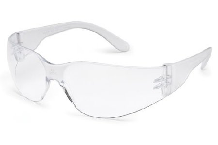 Gateway Safety Clear Anti-Fog Wrap-Around Lens Safety Glasses